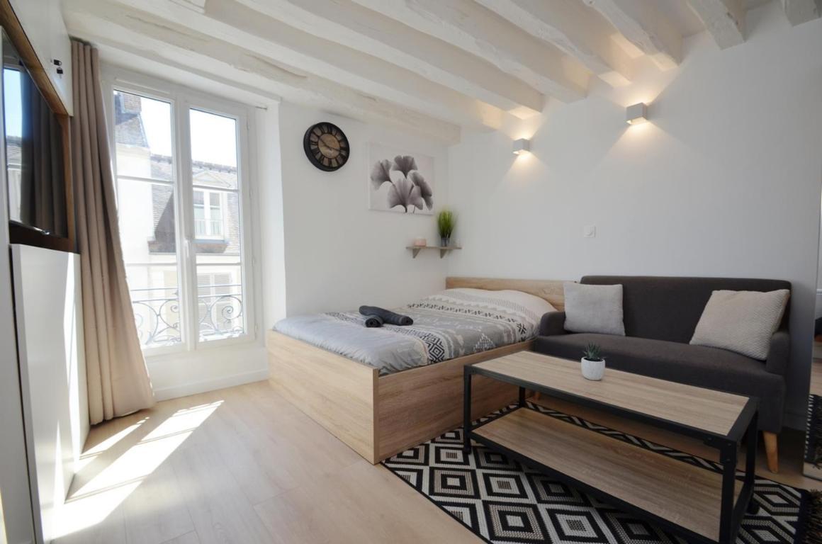 Apartamento Le Petit France - Hyper Centre De Fontainebleau - Proche Insead Exterior foto